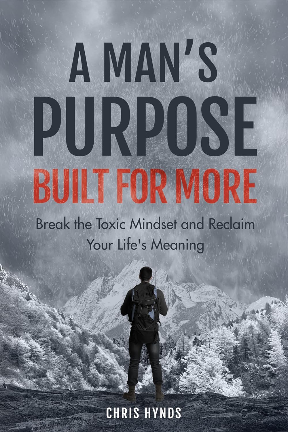 A Man’s Purpose: Built for More: Break the Toxic Mindset and Reclaim Your Life’s Meaning