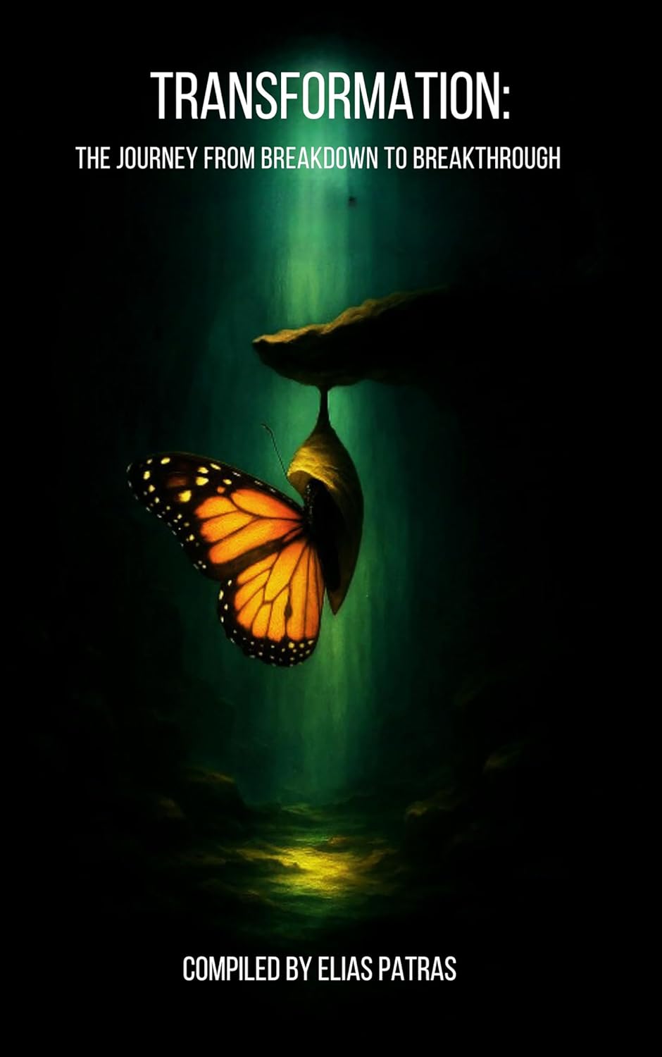 Transformation: The Journey from Breakdown to Breakthrough