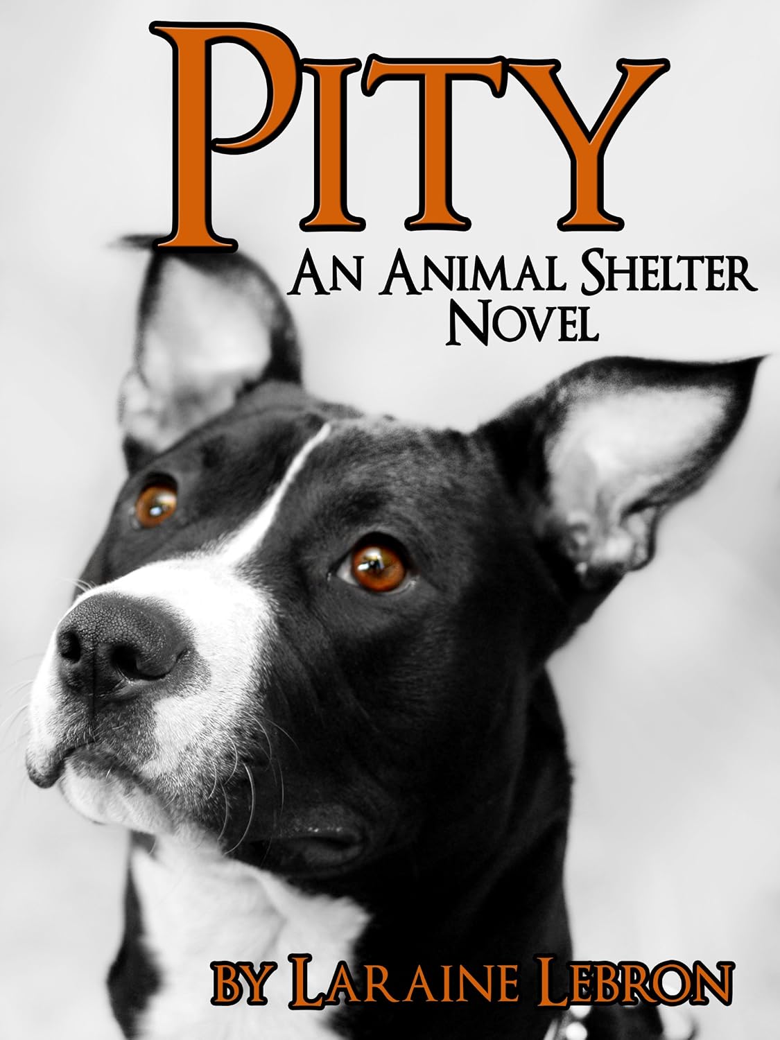 PITY An Animal Shelter Novel