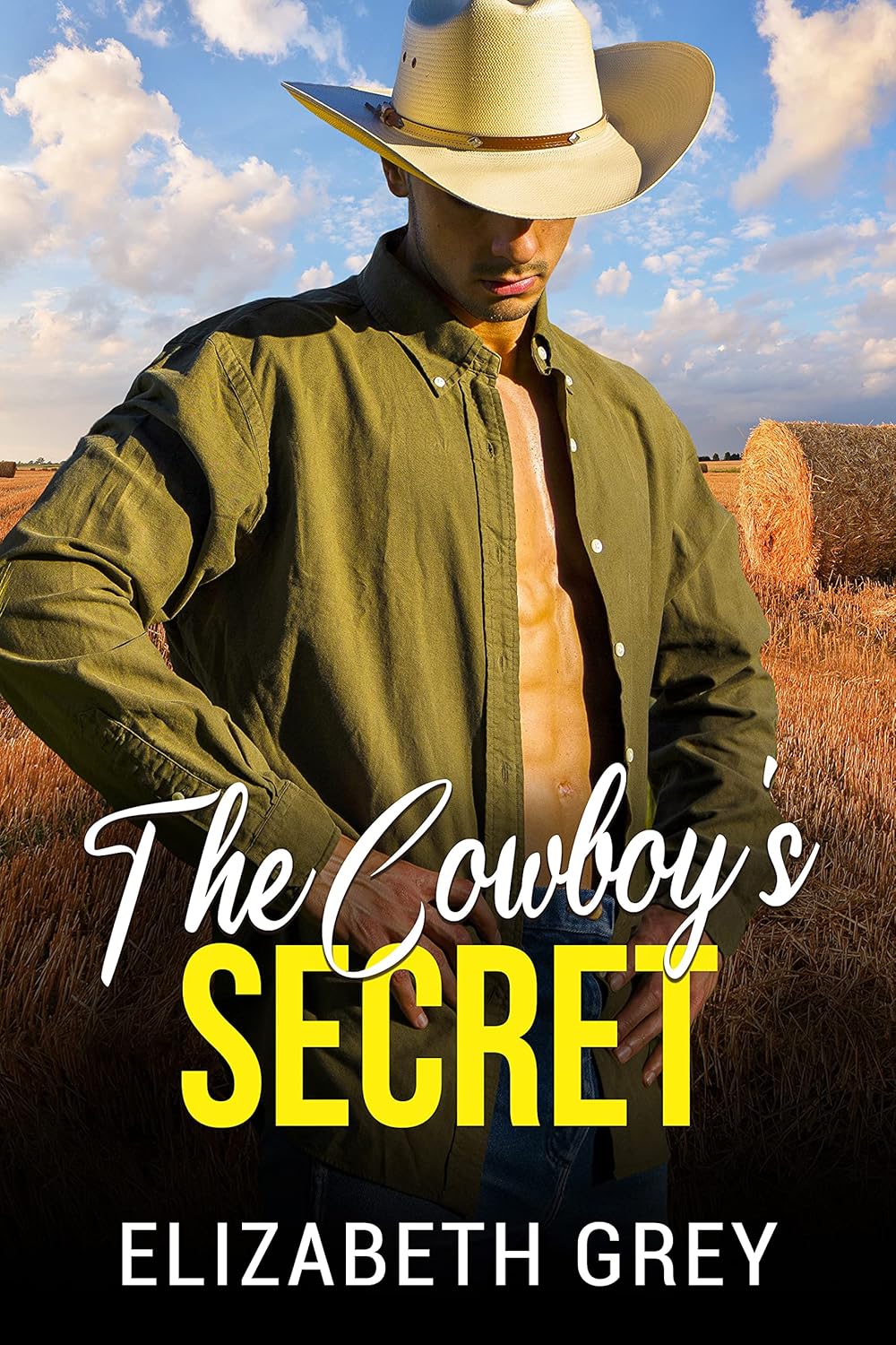 The Cowboy’s Secret: Secret Life Western Billionaire Romance (The Wentworth Cowboy Billionaire Series)